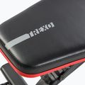 Ławka treningowa XTREXO B100 max. 300 kg czarna 15