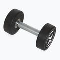 Hantel żeliwny gumowany XTREXO Pro 8 kg czarny