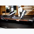 Bieżnia elektryczna XTREXO Walking Pad W150 9