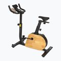 Rower elektryczny XTREXO EB400 czarny