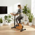 Rower elektryczny XTREXO EB400-desk z biurkiem czarny 10