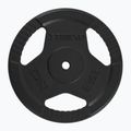 Obciążenie żeliwne XTREXO TRX-ICP025 25 kg 3