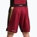 Spodenki treningowe męskie HOOK FIGHTING Ready To Spar czerwony 3