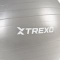 Piłka gimnastyczna XTREXO TXO-B4Z008-GY 65 cm szary 6