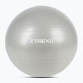 Piłka gimnastyczna XTREXO TXO-B4Z009-GY 75 cm szary