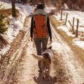 Plecak turystyczny Alpinus Teno 24 l orange 3