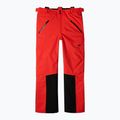 Spodnie narciarskie męskie 4F M0712 red 8