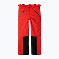 Spodnie narciarskie męskie 4F Fnk M0902 red 12