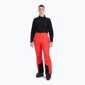 Spodnie narciarskie męskie 4F Fnk M0928 red 2
