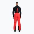 Spodnie narciarskie męskie 4F Fnk M0928 red 3