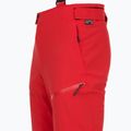 Spodnie narciarskie męskie 4F Fnk M1086 red 9