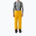 Spodnie narciarskie męskie 4F Fnk M1086 yellow
