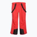 Spodnie narciarskie męskie 4F Fnk M1155 red 7