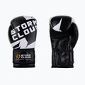 Rękawice bokserskie StormCloud Bolt 3.0 black/white
