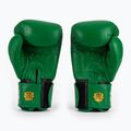 Rękawice bokserskie RAJA BOXING Single Standard Genuine Leather green 3