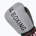 Rękawice bokserskie RAJA BOXING "Porshe Design" 5