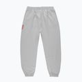 Spodnie męskie PROSTO Big Shield gray 2