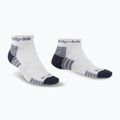 Skarpety męskie Bridgedale Hike Lightweight Performance Ankle silver/navy