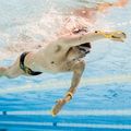 Korektor techniki do pływania FINIS Forearm Fulcrums Senior 2 szt. yellow 5