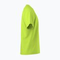 Koszulka męska Arcteryx Kragg SL Cotton mantis 4