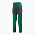 Spodnie trekkingowe męskie Helly Hansen Verglas Tur malachite 5