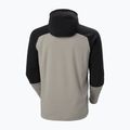 Bluza męska Helly Hansen Daybreaker Logo Hoodie terrazzo 5