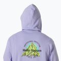 Bluza męska Helly Hansen Core Graphic Sweat Hoodie bright lavender 4