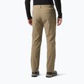 Spodnie trekkingowe męskie Helly Hansen Holmen 5 Pocket pebble 2