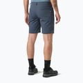 Spodenki trekkingowe męskie Helly Hansen Holmen 5 Pocket alpine frost 2