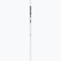 Kije narciarskie HEAD Worldcup Rebels Carbon white 2