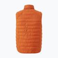 Bezrękawnik trekkingowy męski Pinewood Abisko Insulation burned orange 9