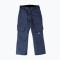 Spodnie snowboardowe męskie Colourwear Flight navy 10