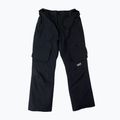 Spodnie snowboardowe męskie Colourwear Flight black 8