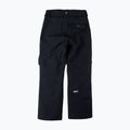 Spodnie snowboardowe męskie Colourwear Flight black 9