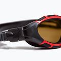 Okulary do pływania Zoggs Predator Flex Polarized Ultra red/black/polarized cooper 5