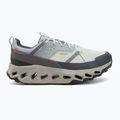 Buty męskie On Cloudhorizon Waterproof glacier/alloy 2