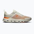 Buty treningowe męskie On Cloudpulse Next ice/flame 8