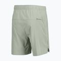 Spodenki do biegania męskie SCOTT Endurance LT spray grey 2