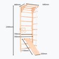 Drabinka gimnastyczna RINAGYM Kombi 3 16