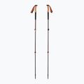 Kije trekkingowe Black Diamond Trail Cork Trekking fig