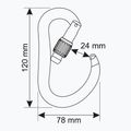 Karabinek wspinaczkowy  CAMP Atom Lock gun metal 3