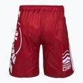 Spodenki treningowe Hayabusa Icon Fight red 2