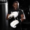 Rękawice bokserskie Hayabusa Mayweather Champ white/gold 6