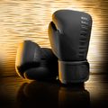 Rękawice bokserskie Hayabusa Mayweather Champ black 3