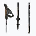 Kije nordic walking Fizan R-Evolution beige 3
