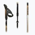 Kije nordic walking Fizan Speed beige 3