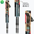 Kije nordic walking Fizan Speed light blue 6