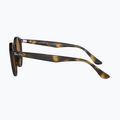 Okulary przeciwsłoneczne Ray-Ban RB2180 light havana/brown polarized 7
