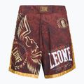 Spodenki do MMA LEONE 1947 Legionarvis VI MMA bordeaux 5