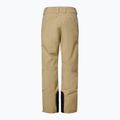 Spodnie narciarskie męskie Oakley Sub Temp RC Gore-Tex 2.0 pebble 8